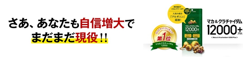 ���̓T�v���̏펯��ς���y�}�J���N���`���C�_��12000�v���X�z���T�C�g